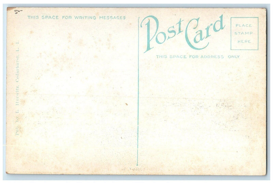 c1910's The Lake On The Sage Estate Cedarhurst Long Island New York NY Postcard