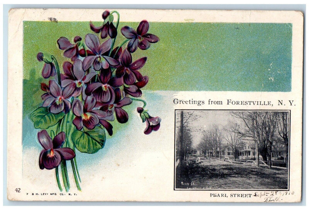1910 Greetings From Forestville New York NY, Pearl Street Pansies Postcard