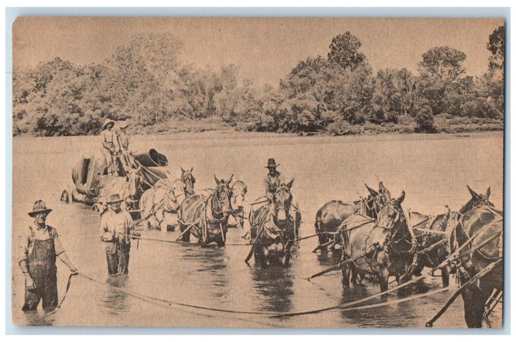 1909 Cowboy And Horses Passing River Hudson New York NY Posted Antique Postcard