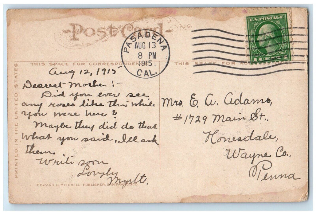 1915 Gold Ophir Roses As They Grow Pasadena California CA Antique Postcard