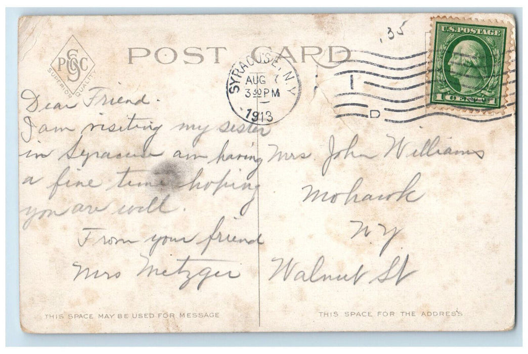 1913 Center View Furman Park Syracuse New York NY Antique Posted Postcard
