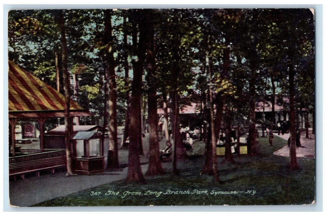1911 The Grove Long Branch Park Syracuse New York NY Antique Postcard