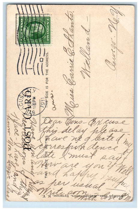 1911 The Grove Long Branch Park Syracuse New York NY Antique Postcard