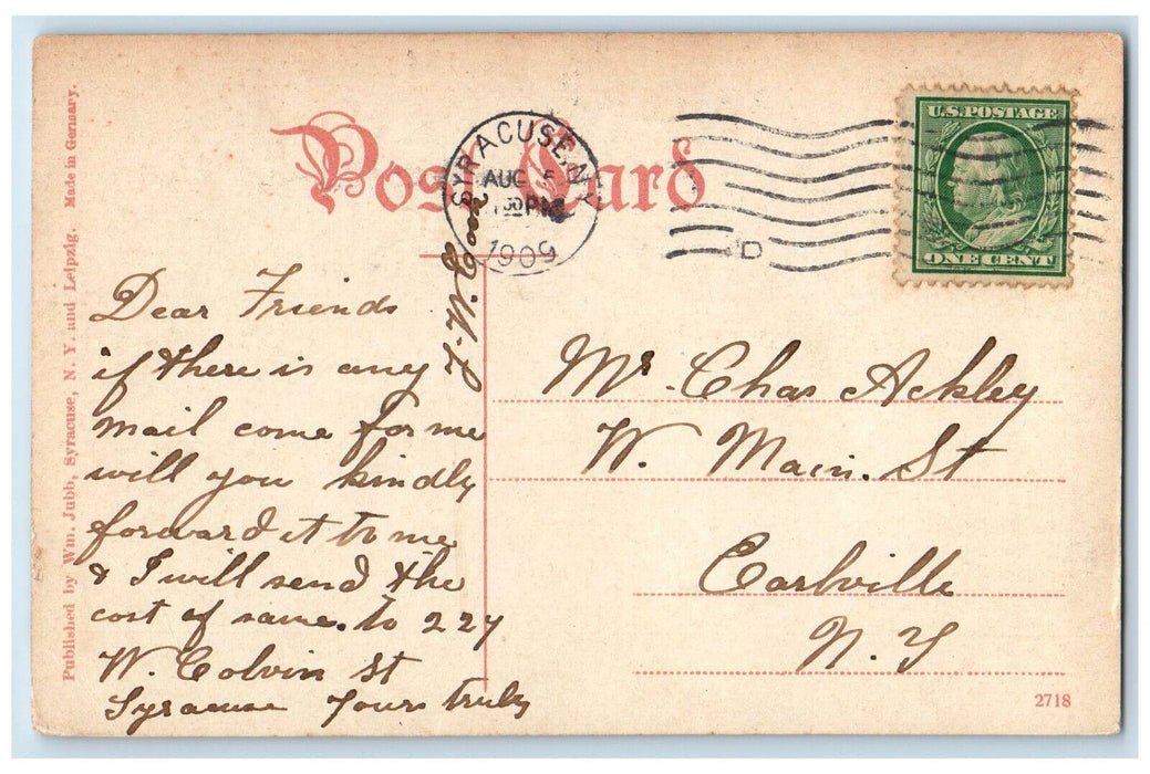 1909 Greenery Scene Schiller Park Syracuse New York NY Antique Posted Postcard