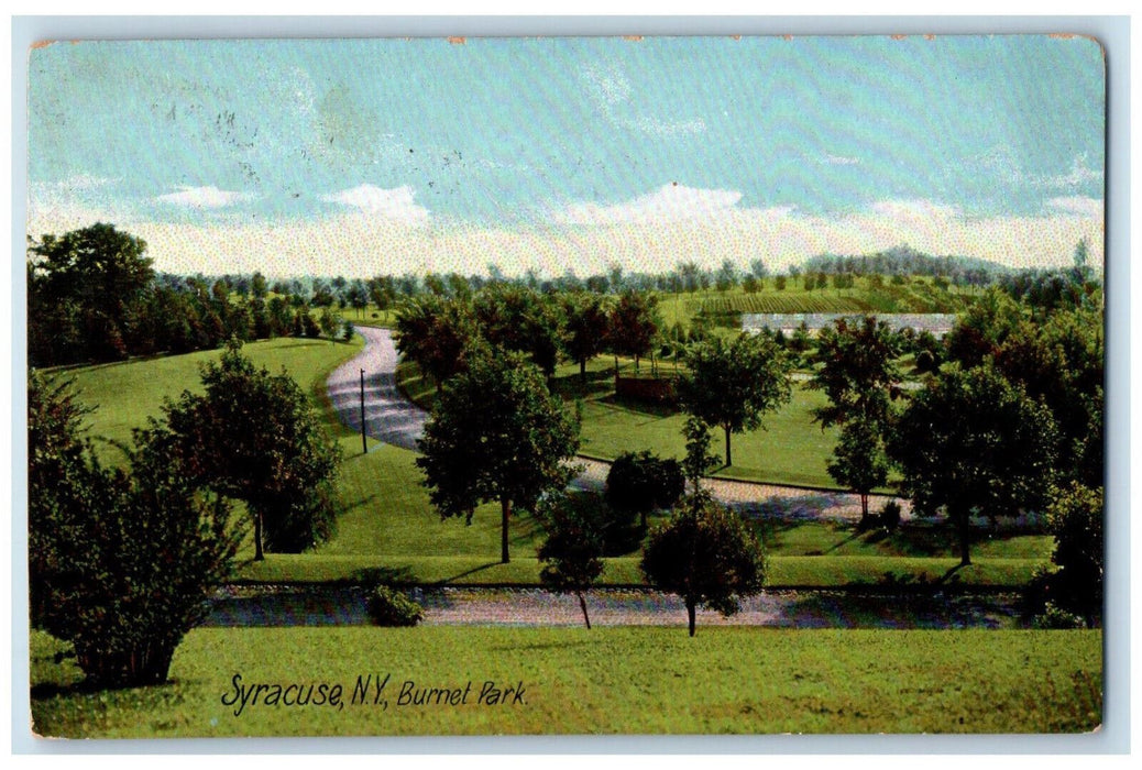 1911 Trees Grasses Scene Burnet Park Syracuse NY Antique Posted Postcard