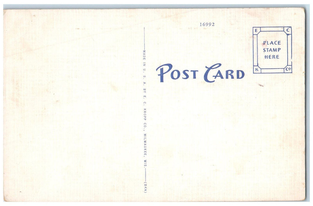c1950's Bathing Scene Municipal Swimming Pool Mauston Wisconsin WI Postcard