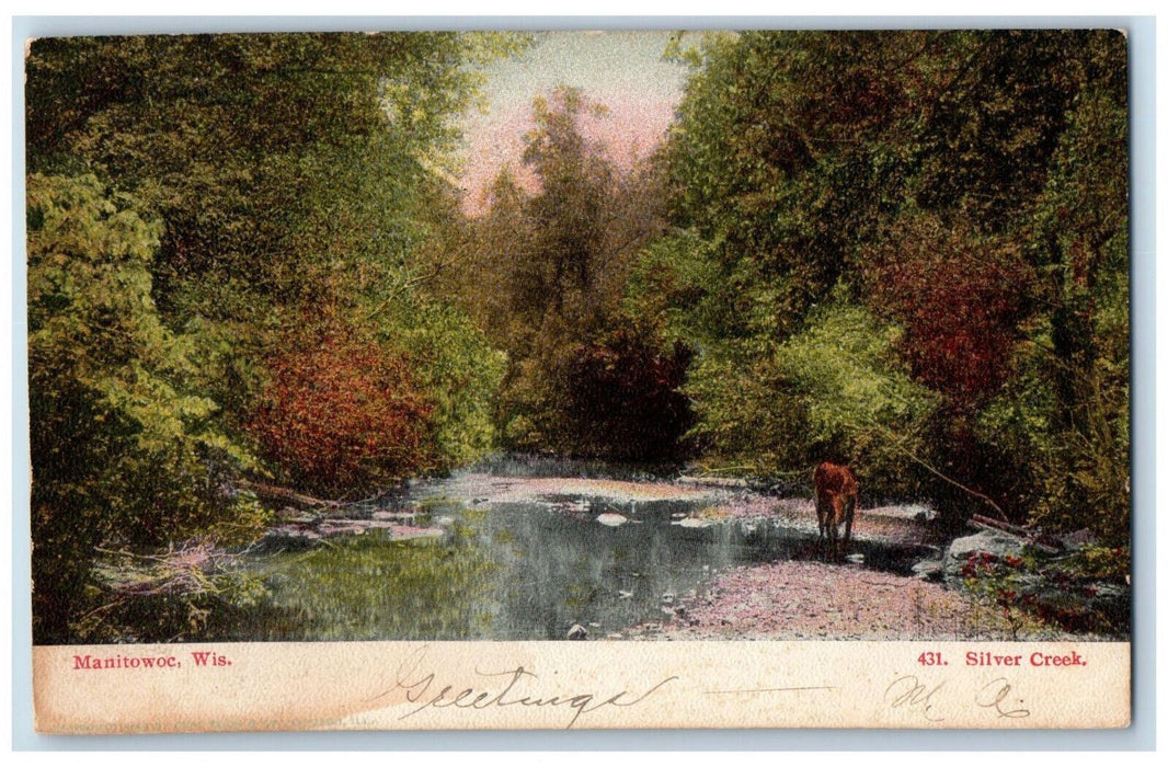 1907 Animal at Silver Creek Manitowoc Wisconsin WI Antique Posted Postcard