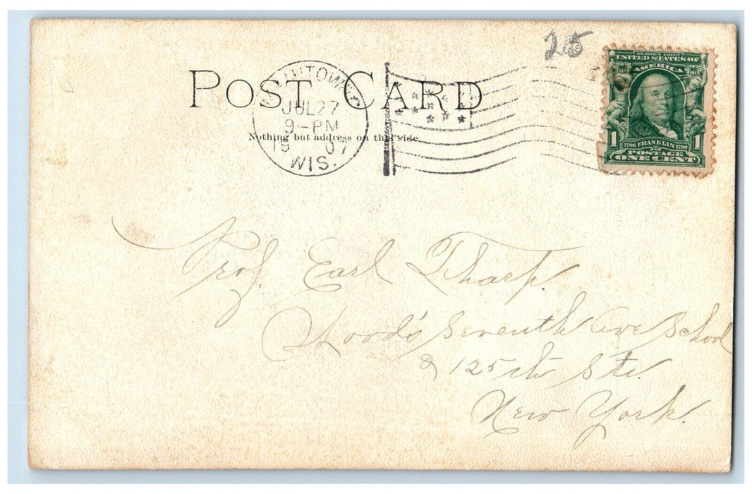 1907 Animal at Silver Creek Manitowoc Wisconsin WI Antique Posted Postcard