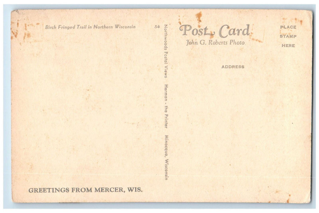c1950's Birch Fringed Trail in Northern WI Greetings from Mercer WI Postcard