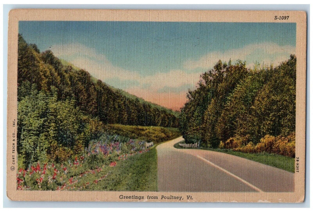 1951 Greetings From Poultney Vermont VT, Curve Road And Tress View Postcard