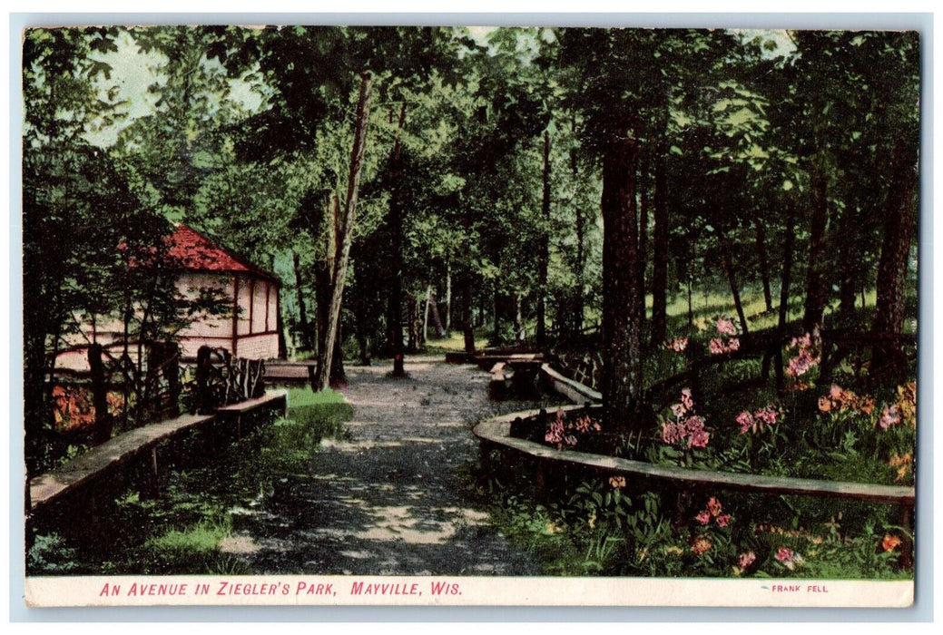 1907 An Avenue in Ziegler's Park Mayville Wisconsin WI Antique Postcard