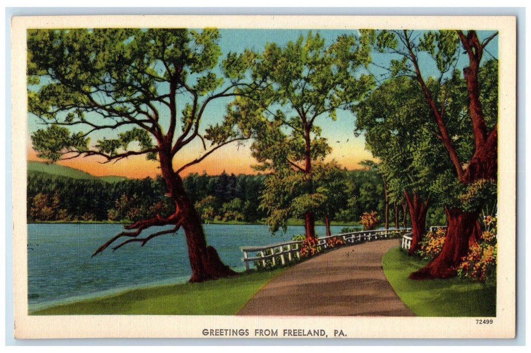 c1940's Trees Road River Scene Greetings from Freeland Pennsylvania PA Postcard
