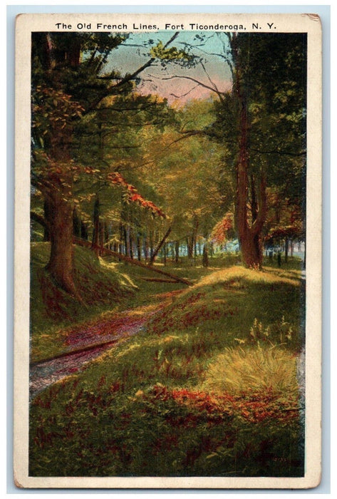 The Old French Lines Tress Nature Scene Fort Ticonderoga New York NY Postcard
