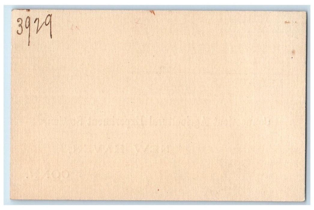 c1905 Connecticut Agriculture Experiment Station New Haven CT Unposted Postcard