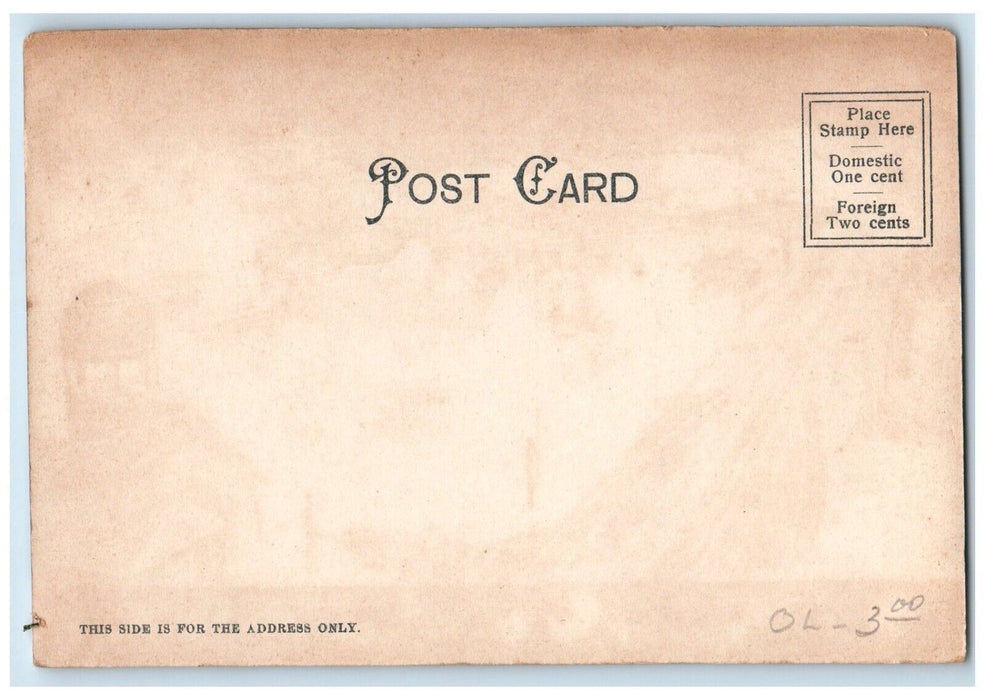 c1905 Rockaway Beach Switch-back Railroad Long Island New York NY Postcard