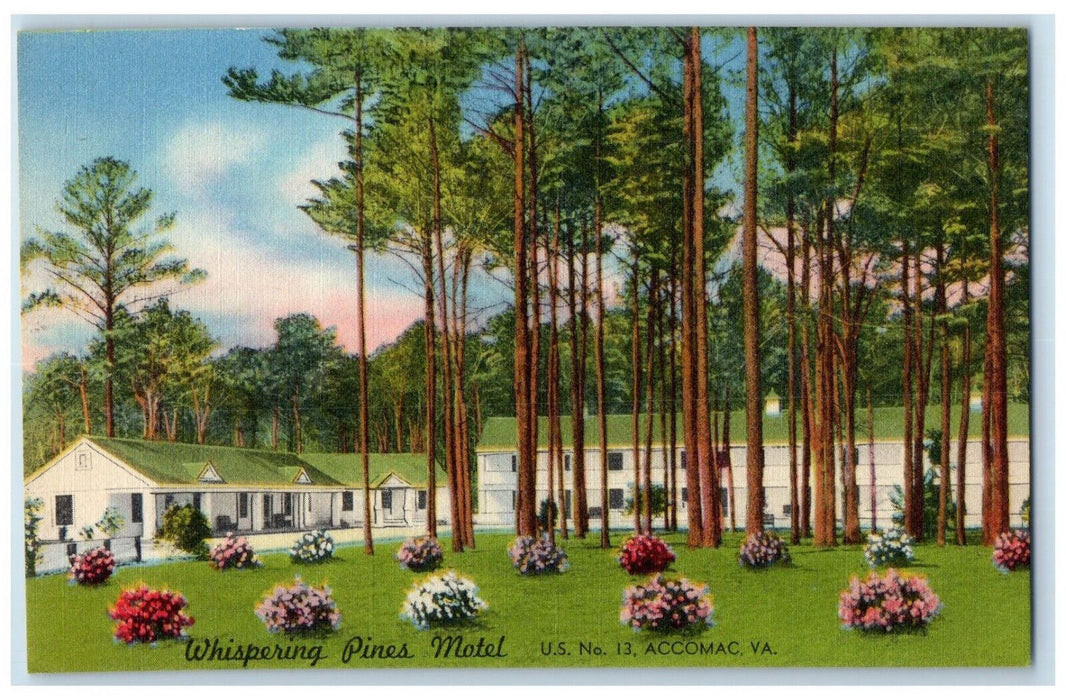 c1950's Whispering Pines Motel Accomac Virginia VA Vintage Unposted Postcard