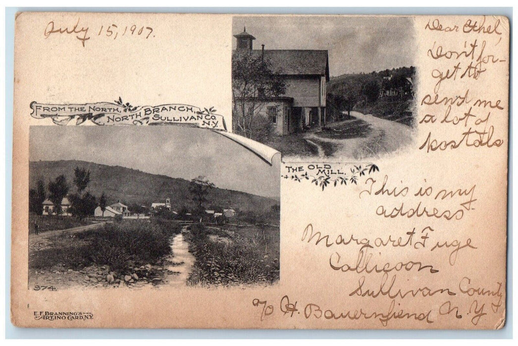 1907 From The North Branch Sullivan Co.  New York NY Dual View Postcard