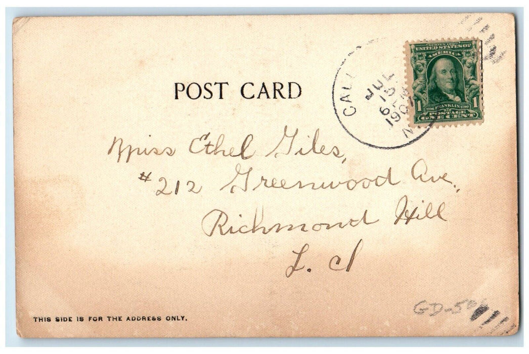 1907 From The North Branch Sullivan Co.  New York NY Dual View Postcard