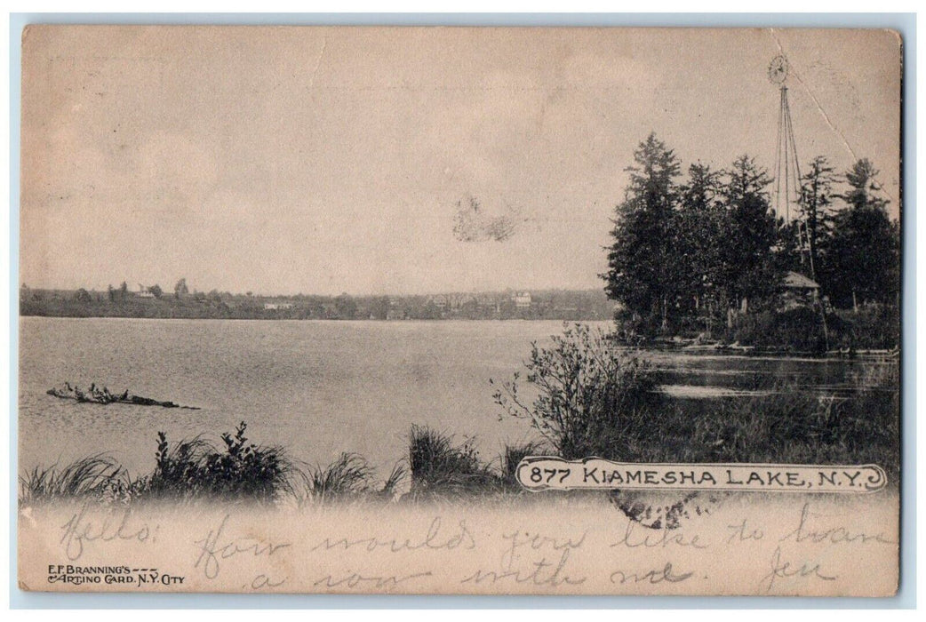 1906 Kiamesha Lake Trees Scene Brooklyn New York NY Antique Posted Postcard