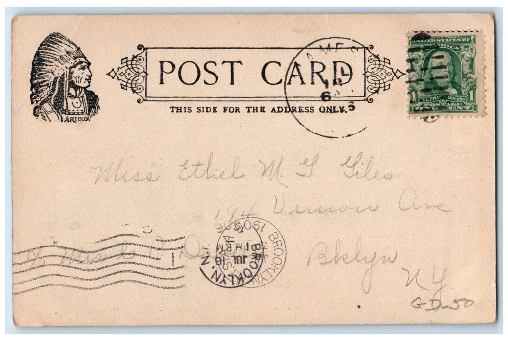 1906 Kiamesha Lake Trees Scene Brooklyn New York NY Antique Posted Postcard