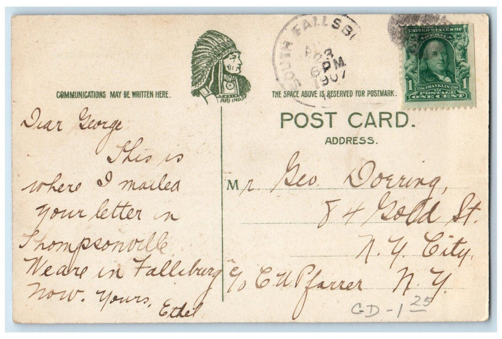 1907 View Of Waiting For The Daily Mail Thompsonville New York NY Postcard