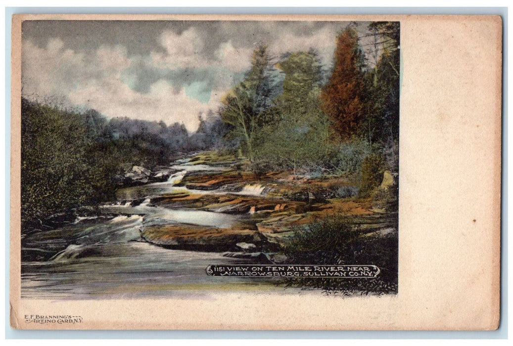 c1905 View on Ten Mile River Near Narrowsburg Sullivan Co. NY Postcard