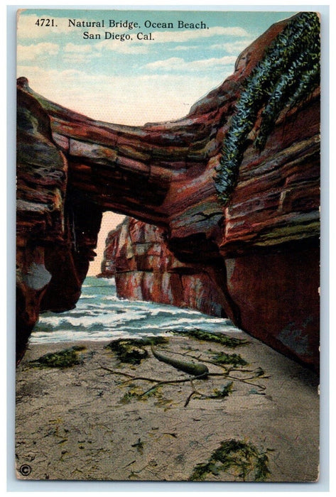 Natural Bridge Ocean Beach Rocks Nature Scene San Deigo California CA Postcard