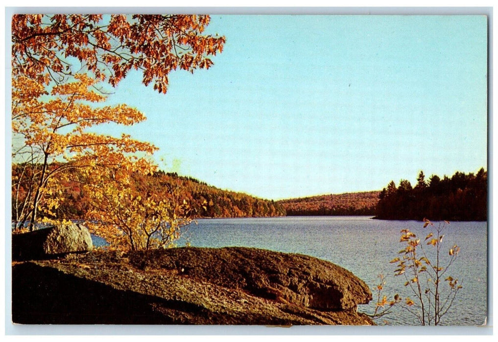 c1950's View Of Gregg Lake Antrim New Hampshire NH Unposted Vintage Postcard