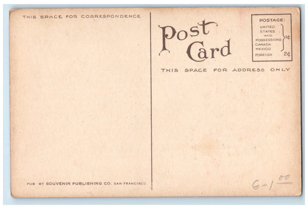 c1910's Redwood Giant Of Muir Woods Mt. Tamalpais Railway California CA Postcard