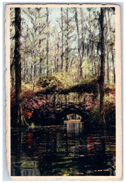 c1930's Cypress Gardens Oakley South Carolina SC Unposted Vintage Postcard