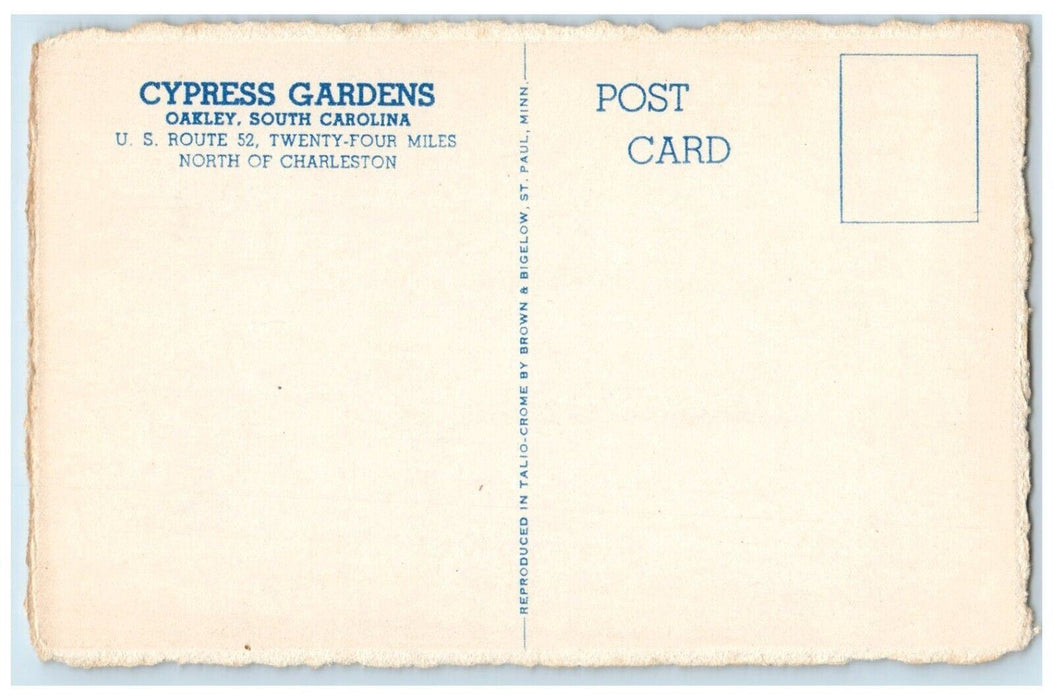 c1930's Cypress Gardens Oakley South Carolina SC, Road Flowers Vintage Postcard