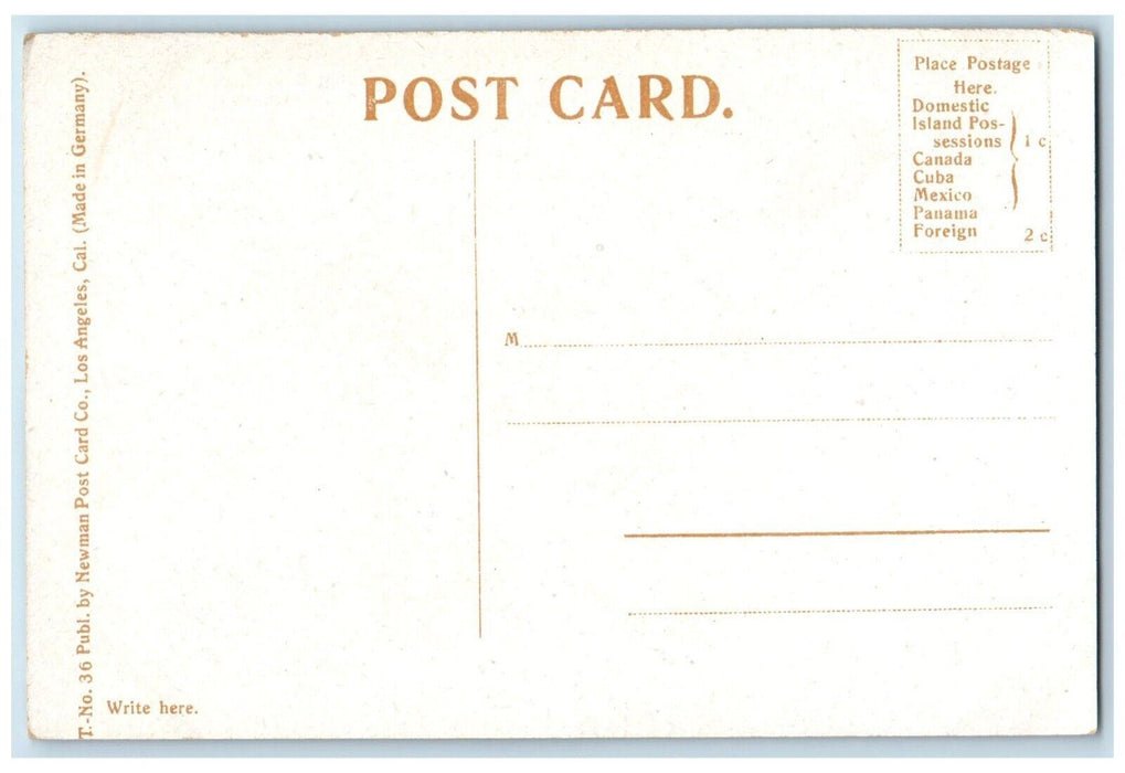 c1910's The Crocker Art Gallery Sacramento California CA Antique Postcard