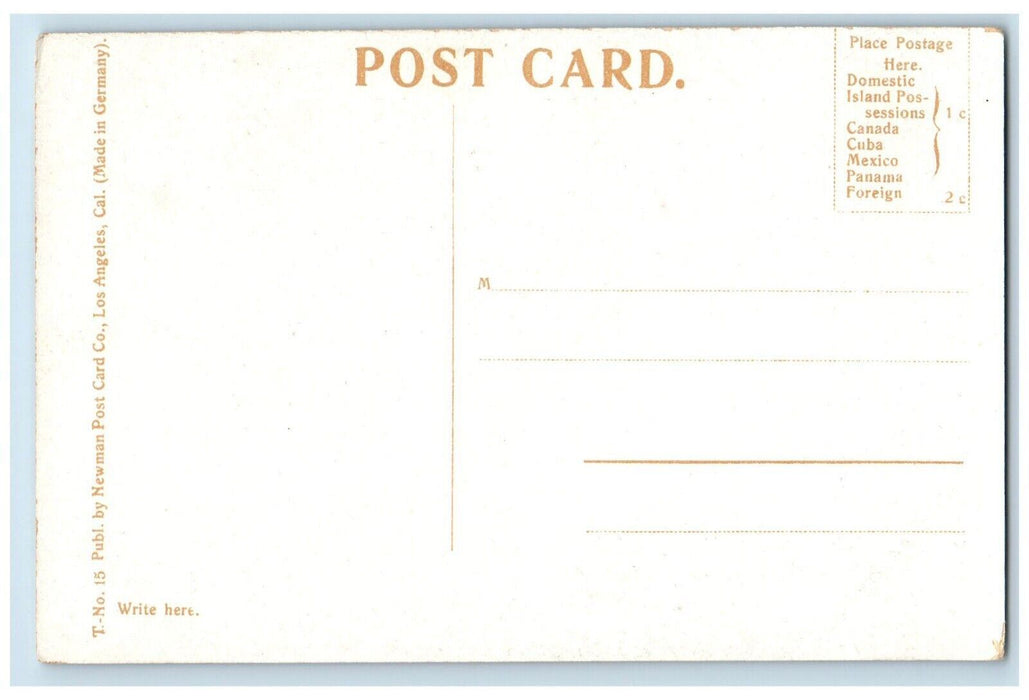 c1910's A Residence Street Sacramento California CA Unposted Antique Postcard