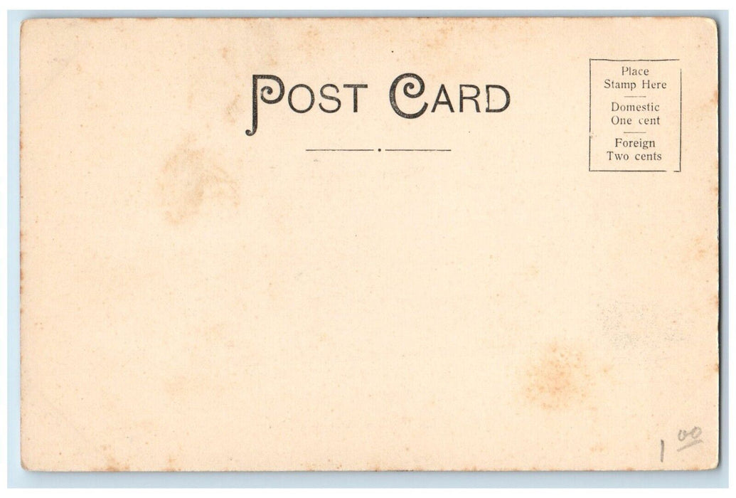 c1905 Presbyterian Chruch Panorama View Stamford New York NY Antique Postcard