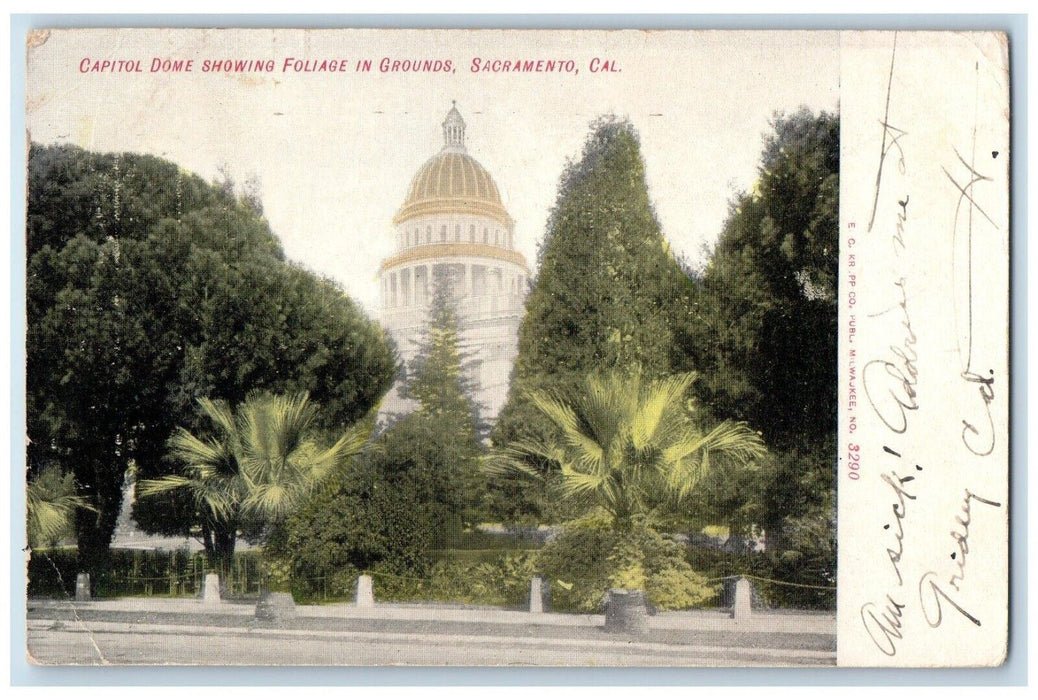 1907 Capital Dome Showing Foliage In Grounds Sacramento California CA Postcard
