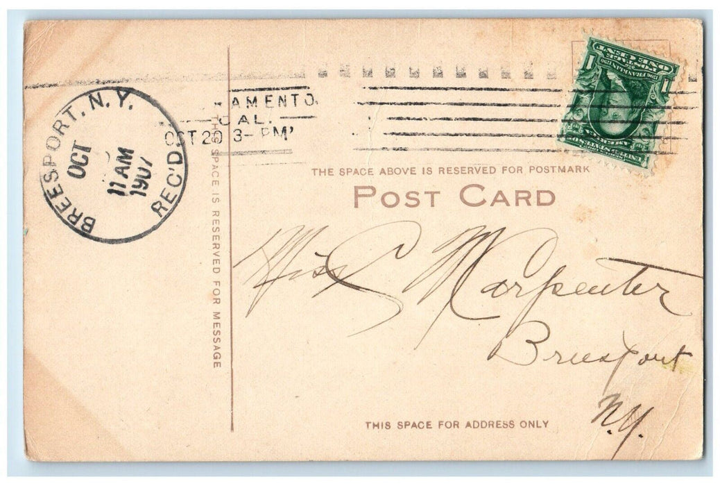 1907 Capital Dome Showing Foliage In Grounds Sacramento California CA Postcard
