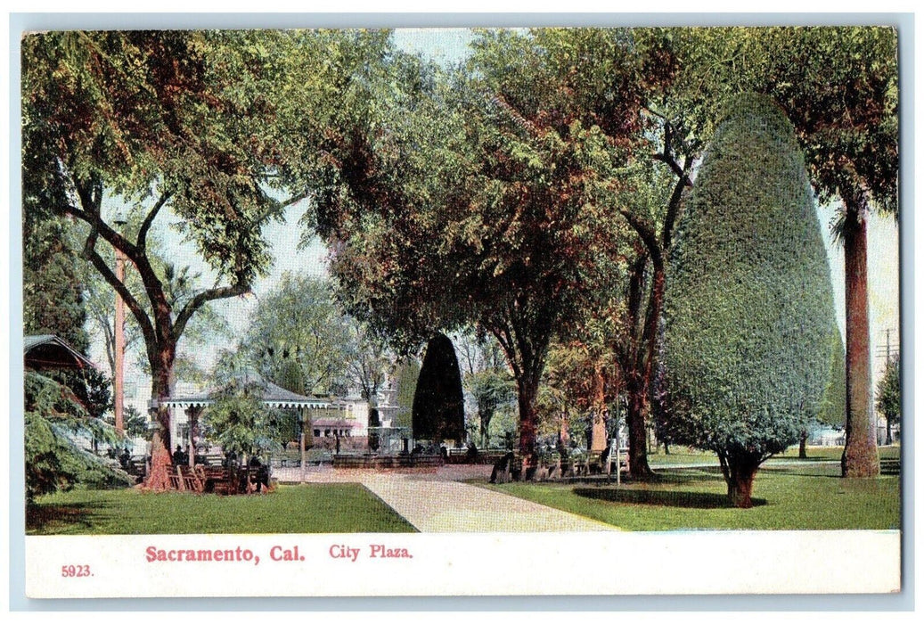 c1910's View Of City Plaza Topiary Sacramento California CA Antique Postcard