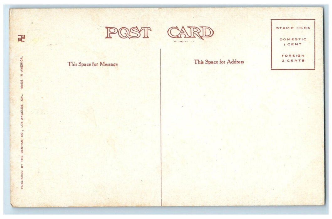 c1910's View Of Chase Residence Riverside California CA Antique Postcard