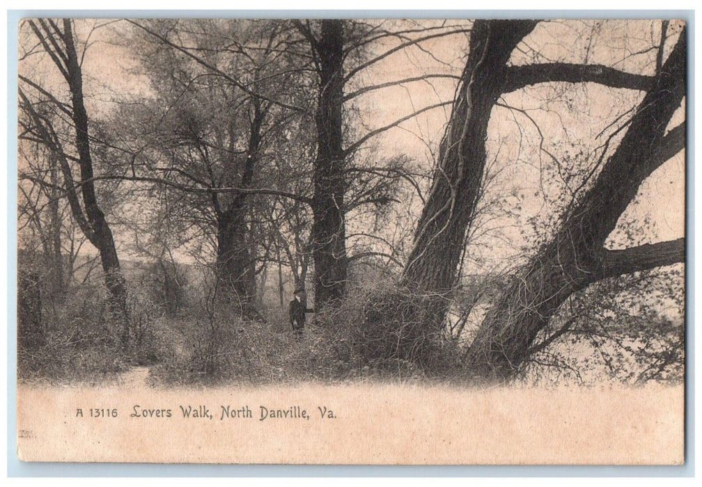 c1905 Lovers Walk North Danville Virginia VA Antique Unposted Postcard