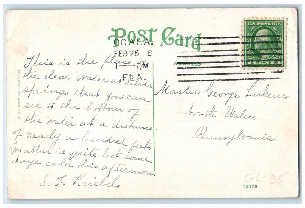 1916 Pavilion and Row Boats Silver Springs Near Ocala FL Posted Postcard
