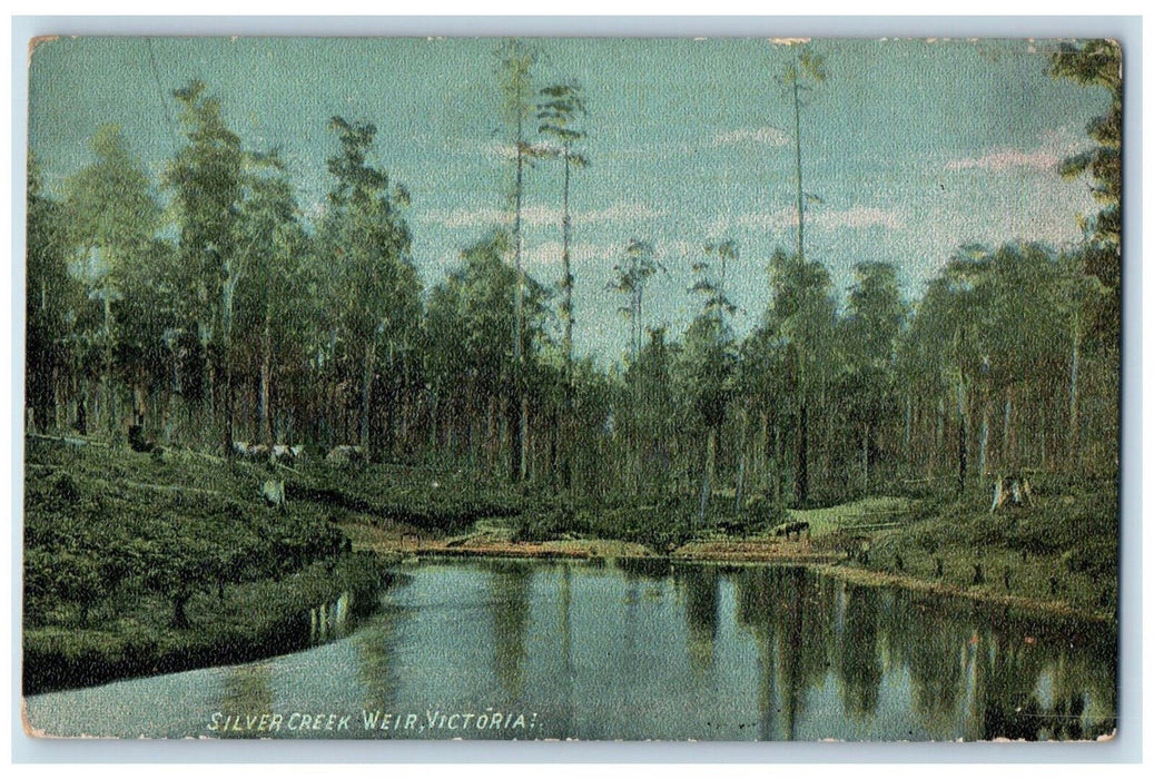 c1910 Silver Creek Weir Victoria British Columbia Canada Antique Postcard