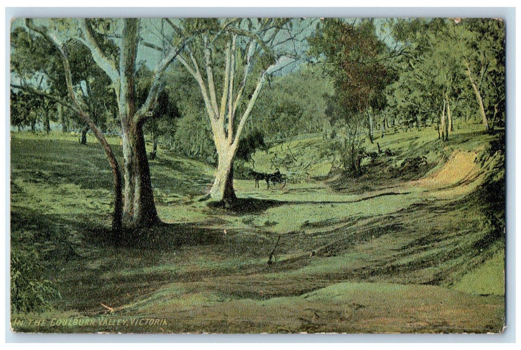 c1910 In The Coulburn Valley Victoria Australia Unposted BP Series Postcard