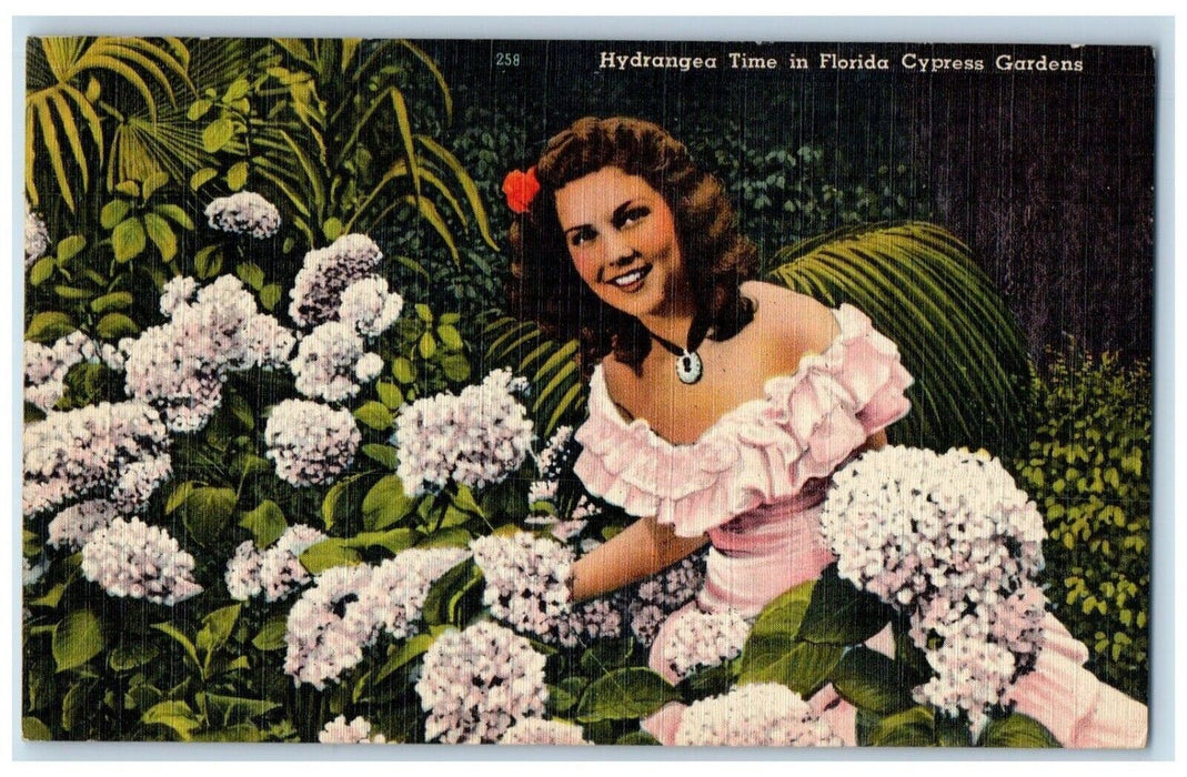 1949 Hydrangea Time Florida Giant Blue Martha Gray Cypress Gardens FL Postcard