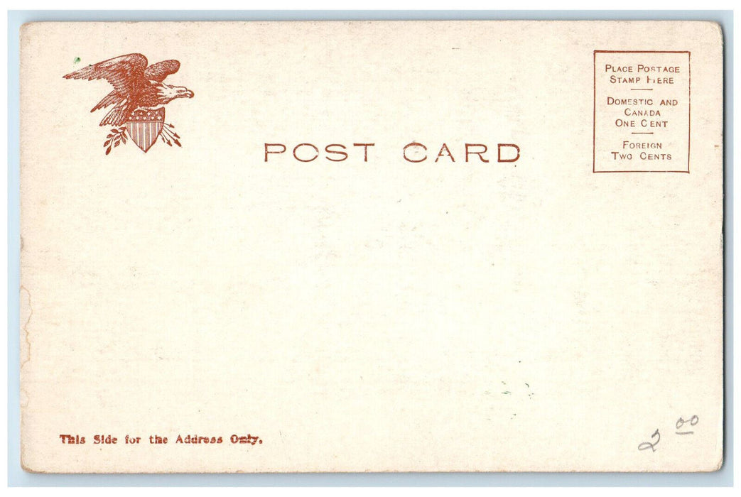 c1905 Dutch Reformed Jamaica Long Island New York NY Antique Postcard