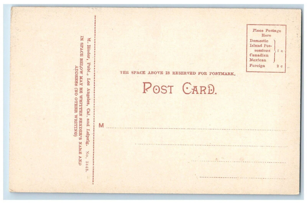 c1910's Memorial Church Stanford University Stanford California CA Postcard