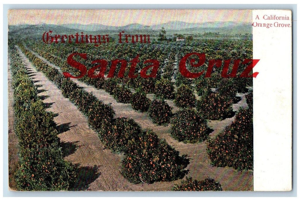 1908 Greetings From Santa Cruz California CA, Orange Grove Honolulu HI Postcard