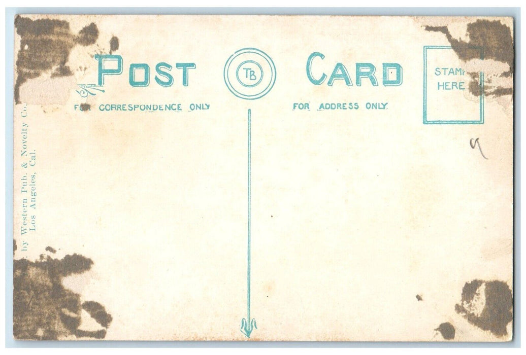 c1910's Pallisades And Long Wharf Santa Monica California CA Antique Postcard