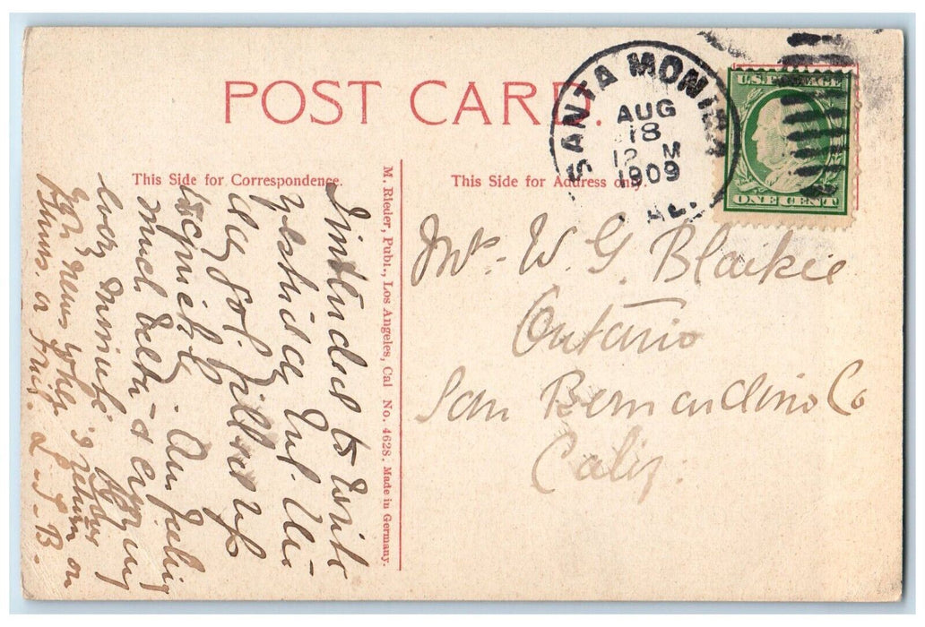 1909 Port Los Angeles From The Pallisades Santa Monica California CA Postcard