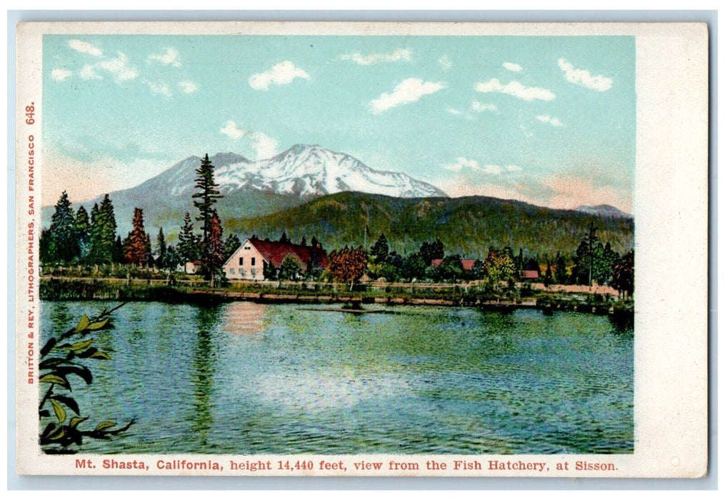 c1905 View From The Fish Hatchery At Sisson Mt. Shasta California CA Postcard