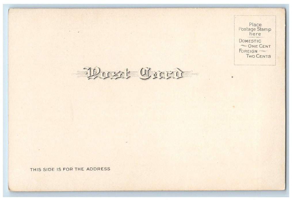 c1905 View From The Fish Hatchery At Sisson Mt. Shasta California CA Postcard